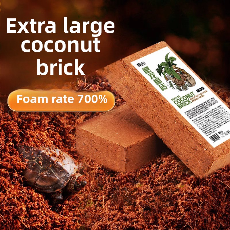 Kit per l'ibernazione delle ta - Sphagnum Moss Dry recensione e prezzo