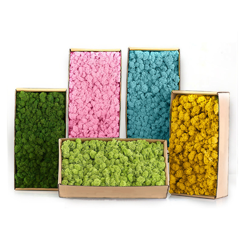 Piante verdi artificiali Mini  - Sphagnum Moss Dry recensione e prezzo